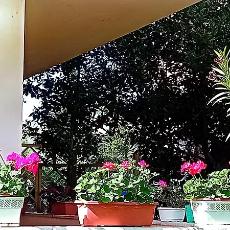 Nocleg ze śniadaniem Il Giardino Del Sole Ascoli Piceno